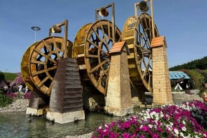 Dubái: visita al Miracle Garden con traslado de ida y vuelta