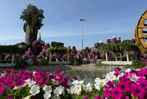Dubái: visita al Miracle Garden con traslado de ida y vuelta