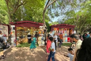 Dubái: visita al Miracle Garden con traslado de ida y vuelta