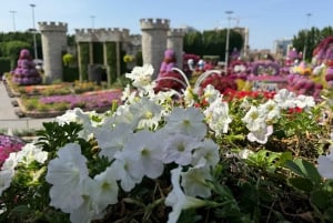 Dubái: visita al Miracle Garden con traslado de ida y vuelta
