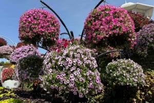 Dubái: visita al Miracle Garden con traslado de ida y vuelta