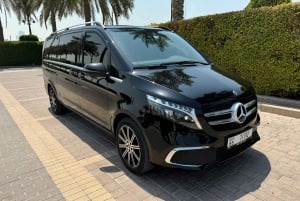 Dubái: visita al Miracle Garden con traslado de ida y vuelta