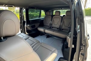 Dubái: visita al Miracle Garden con traslado de ida y vuelta