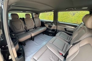 Dubái: visita al Miracle Garden con traslado de ida y vuelta