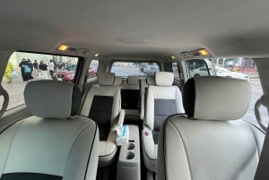 Dubái: visita al Miracle Garden con traslado de ida y vuelta