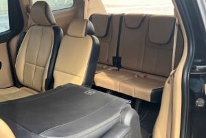 Dubái: visita al Miracle Garden con traslado de ida y vuelta