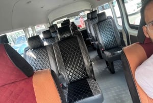 Dubái: visita al Miracle Garden con traslado de ida y vuelta