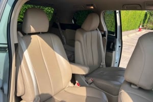 Dubái: visita al Miracle Garden con traslado de ida y vuelta