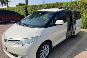 Dubái: visita al Miracle Garden con traslado de ida y vuelta