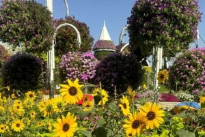Miracle Garden & Global Village Tour – Choose Your Option