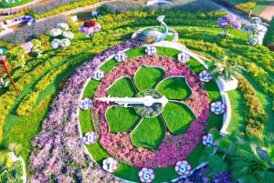 Dubai: Inträdesbiljett till Miracle Garden med transfer till hotellet