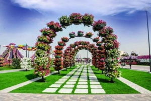 Dubai: Miracle Garden Entry with Transfer Service