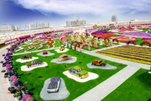 Dubai: Miracle Garden Entry with Transfer Service