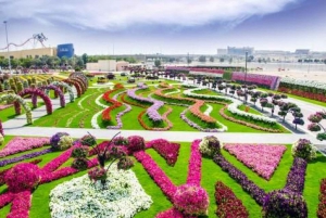 Dubai: Miracle Garden and Global Village Entry with Transfer