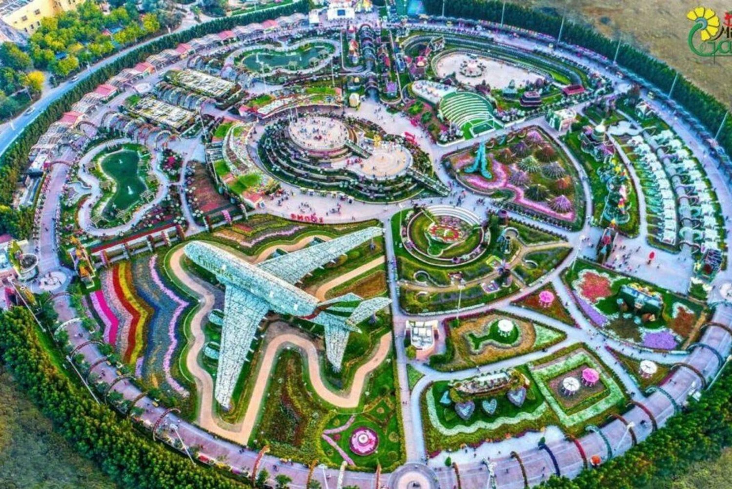 Dubai: Miracle Garden og Global Village med inngang og transfer
