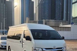Dubai: Giardino dei Miracoli e Villaggio Globale con ingresso e trasferimento