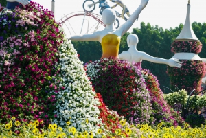 Dubai: Skip-The-Line Ticket to Dubai Miracle Garden