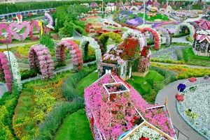 Dubai: Skip-The-Line Ticket to Dubai Miracle Garden