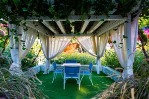 Dubai: Skip-The-Line Ticket to Dubai Miracle Garden