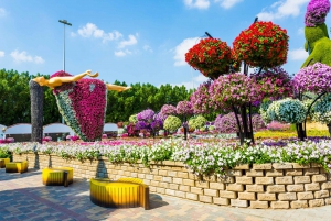 Dubai: Skip-The-Line Ticket to Dubai Miracle Garden