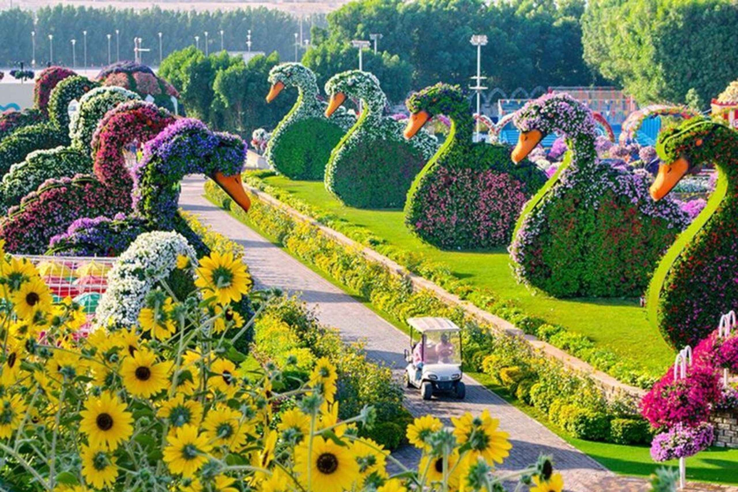 Dubai: Ingressos para o Miracle Garden com traslado de ida e volta