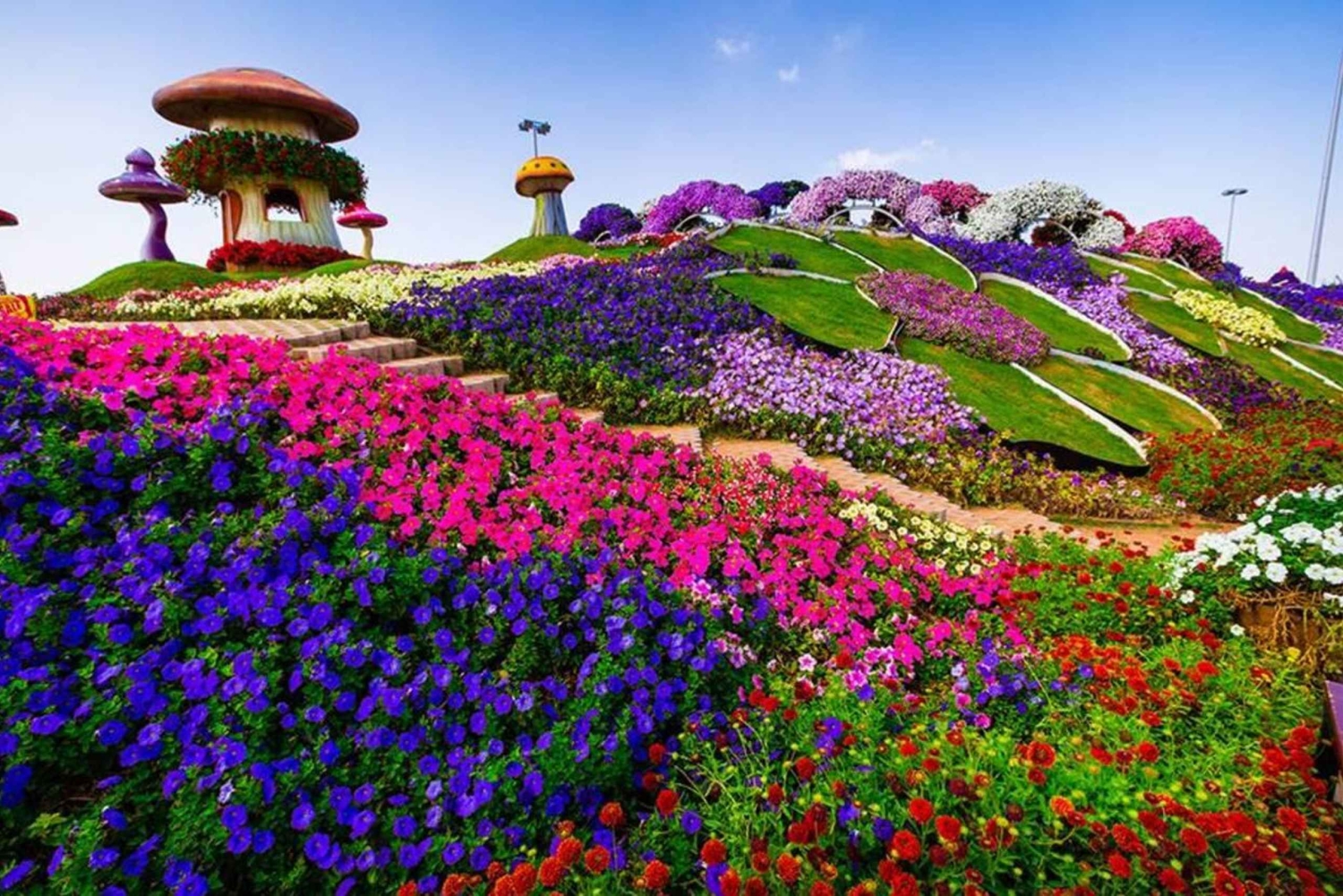 Dubai: Ingressos para o Miracle Garden com traslado de ida e volta