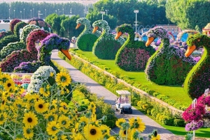 Dubai: Ingressos para o Miracle Garden com traslado de ida e volta