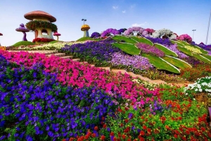 Dubai: Ingressos para o Miracle Garden com traslado de ida e volta