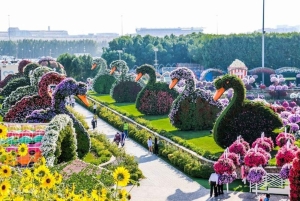 Dubai: Ingressos para o Miracle Garden com traslado de ida e volta