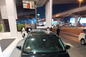 Dubai: Ingressos para o Miracle Garden com traslado de ida e volta