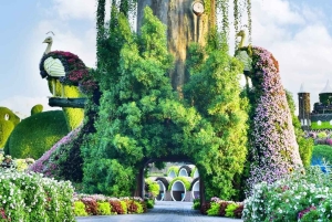 Dubai: Ingressos para o Miracle Garden com traslado de ida e volta