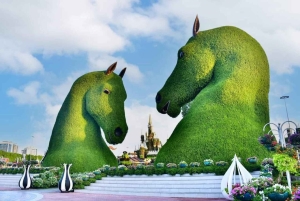 Dubai: Ingressos para o Miracle Garden com traslado de ida e volta