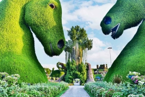 Dubai: Ingressos para o Miracle Garden com traslado de ida e volta
