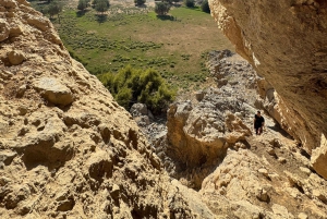 Dubai: Moderate hiking trip to Jebel Jais Hidden Oasis trail