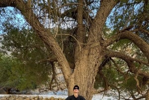 Dubai: Moderate hiking trip to Jebel Jais Hidden Oasis trail