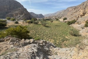 Dubai: Moderate hiking trip to Jebel Jais Hidden Oasis trail