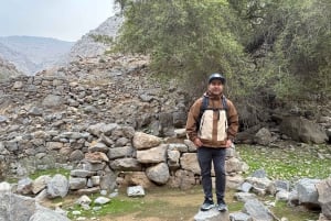 Dubai: Moderate hiking trip to Jebel Jais Hidden Oasis trail