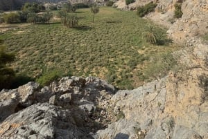 Dubai: Moderate hiking trip to Jebel Jais Hidden Oasis trail