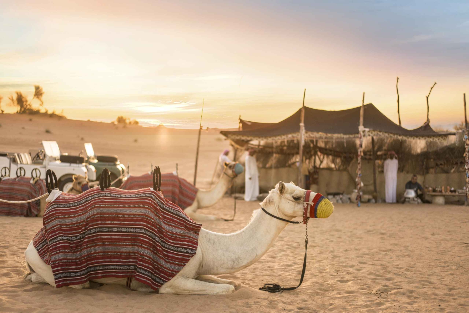 Dubai: Safari mattutino alla scoperta della cultura beduina, colazione tradizionale