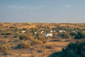 Dubai: Morning Bedouin Culture Safari, Traditional breakfast