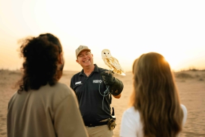 Dubai: Safari mattutino alla scoperta della cultura beduina, colazione tradizionale