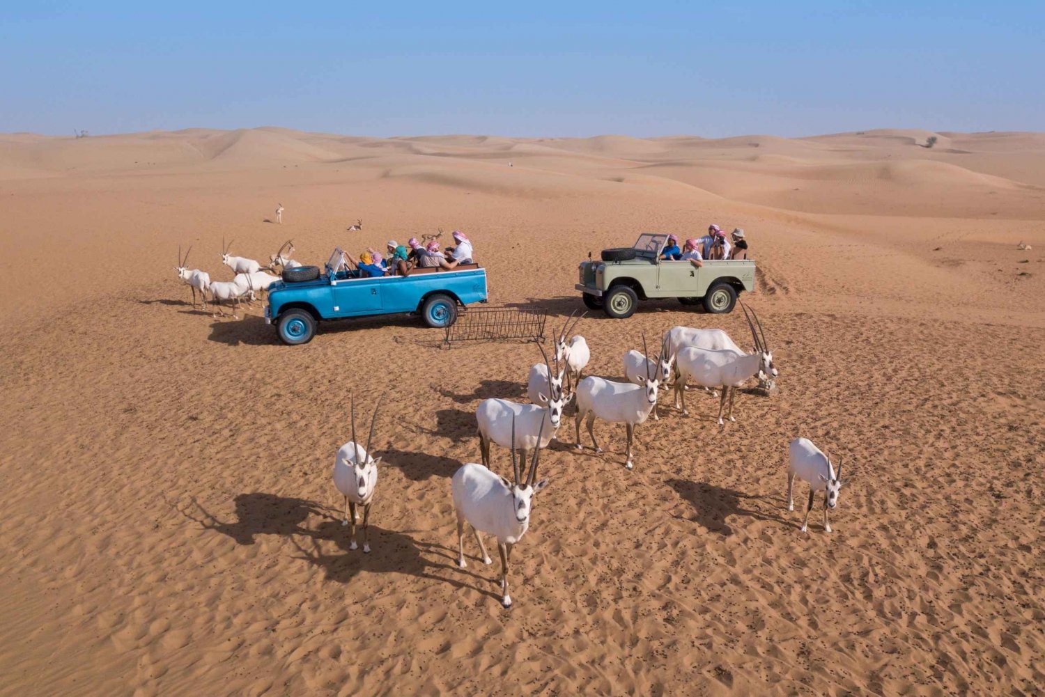 Patrimonio de Platino:Safari matinal por la cultura beduina y desayuno