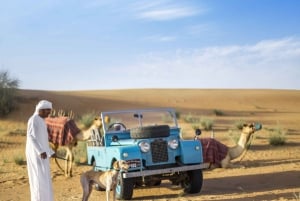 Platinum Heritage: Morgensafari med beduinkultur og frokost