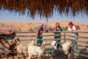 Platinum Heritage:Aamulla beduiinikulttuurisafari & aamiainen