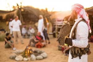 Patrimonio de Platino:Safari matinal por la cultura beduina y desayuno