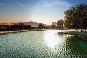 Dubai: Morning Camel Safari & Breakfast at Al Marmoom Oasis