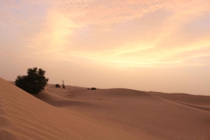 Dubai: Safari matinal por el desierto con paseo en camello y Sandboarding