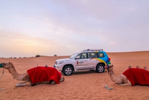 Dubai: Safari matinal por el desierto con paseo en camello y Sandboarding