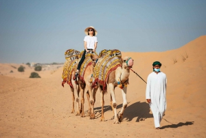 Dubai: Half-Day Desert Safari, Camel Ride & Quad Bike Option