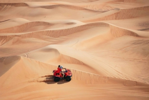 Dubai: Half-Day Desert Safari, Camel Ride & Quad Bike Option